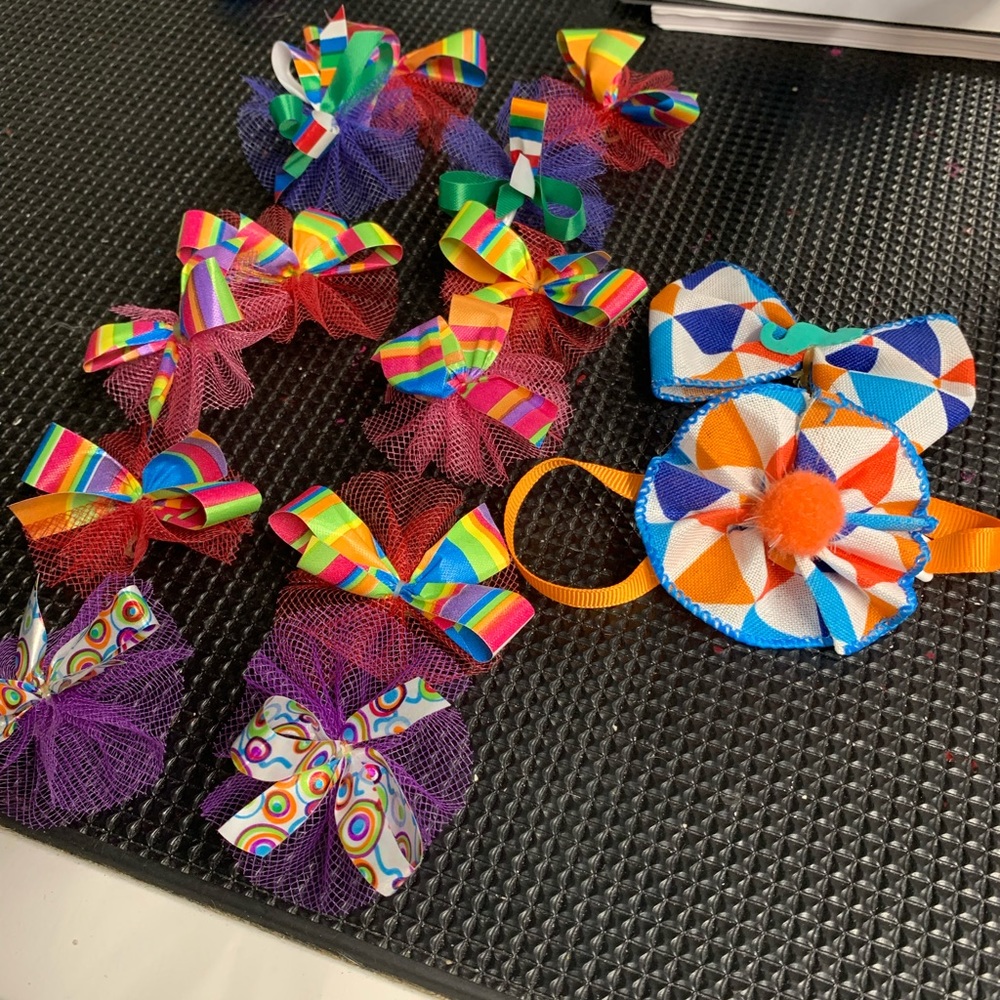Rainbow, Circus, Hippie Dog bows